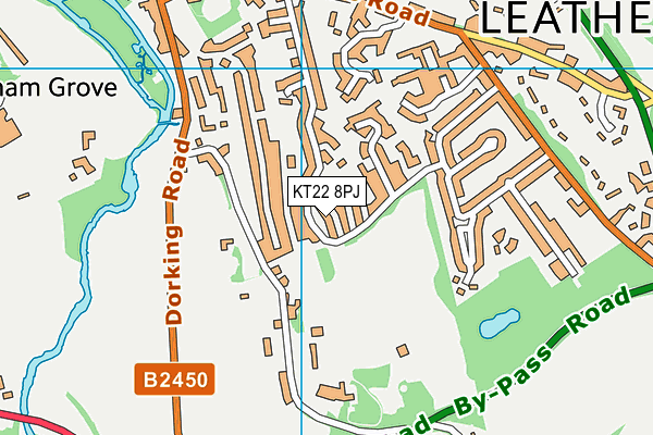 KT22 8PJ map - OS VectorMap District (Ordnance Survey)
