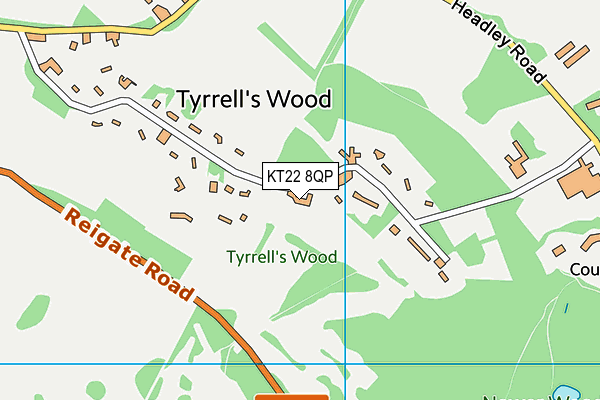 Tyrrells Wood Golf Club map (KT22 8QP) - OS VectorMap District (Ordnance Survey)