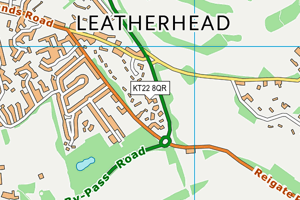 KT22 8QR map - OS VectorMap District (Ordnance Survey)