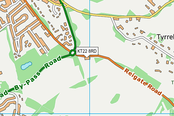 KT22 8RD map - OS VectorMap District (Ordnance Survey)