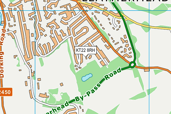 KT22 8RH map - OS VectorMap District (Ordnance Survey)