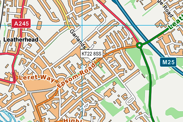 KT22 8SS map - OS VectorMap District (Ordnance Survey)