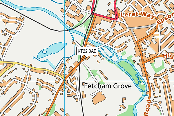 KT22 9AE map - OS VectorMap District (Ordnance Survey)