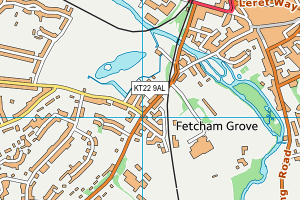 KT22 9AL map - OS VectorMap District (Ordnance Survey)