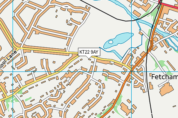 KT22 9AY map - OS VectorMap District (Ordnance Survey)