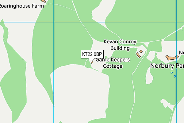 KT22 9BP map - OS VectorMap District (Ordnance Survey)