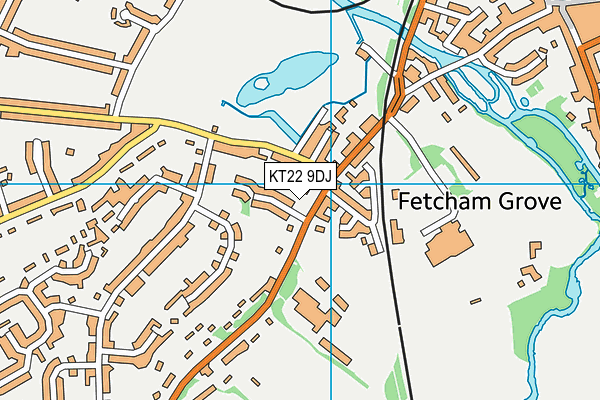 KT22 9DJ map - OS VectorMap District (Ordnance Survey)