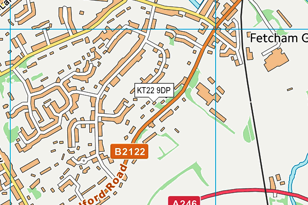 KT22 9DP map - OS VectorMap District (Ordnance Survey)