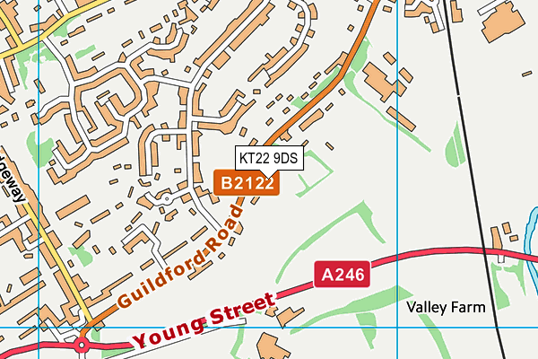 KT22 9DS map - OS VectorMap District (Ordnance Survey)