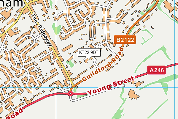 KT22 9DT map - OS VectorMap District (Ordnance Survey)