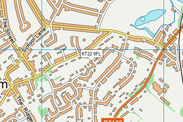 KT22 9FL map - OS VectorMap District (Ordnance Survey)