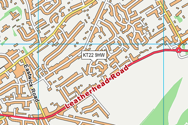 KT22 9HW map - OS VectorMap District (Ordnance Survey)