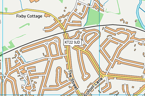 KT22 9JD map - OS VectorMap District (Ordnance Survey)