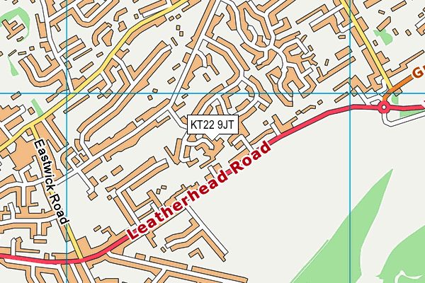 KT22 9JT map - OS VectorMap District (Ordnance Survey)