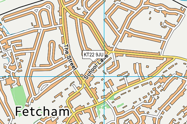 KT22 9JU map - OS VectorMap District (Ordnance Survey)