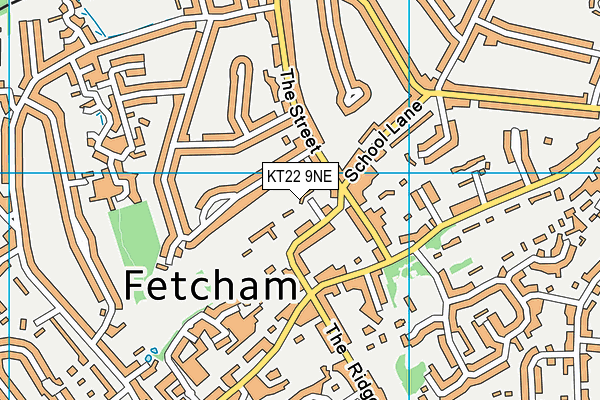 KT22 9NE map - OS VectorMap District (Ordnance Survey)