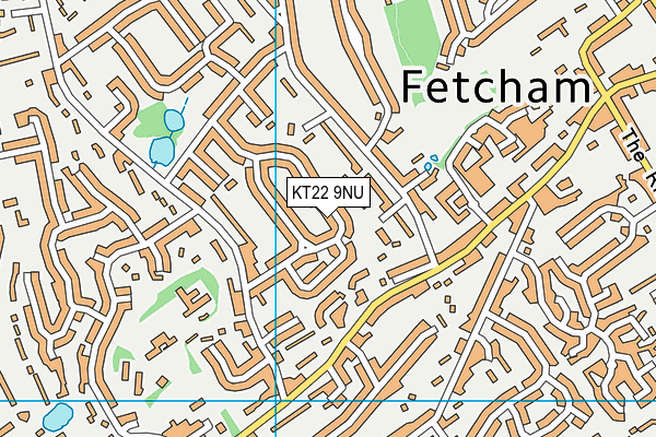 KT22 9NU map - OS VectorMap District (Ordnance Survey)