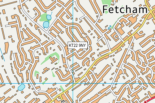 KT22 9NY map - OS VectorMap District (Ordnance Survey)