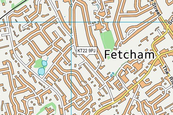 KT22 9PJ map - OS VectorMap District (Ordnance Survey)