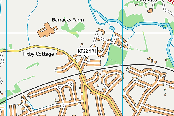 KT22 9RJ map - OS VectorMap District (Ordnance Survey)