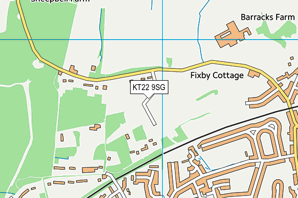 KT22 9SG map - OS VectorMap District (Ordnance Survey)