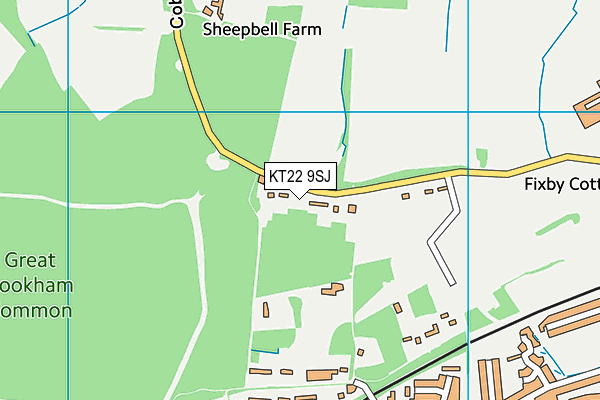 KT22 9SJ map - OS VectorMap District (Ordnance Survey)