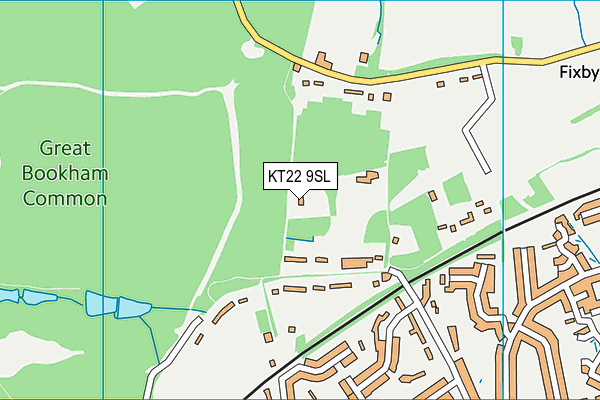 KT22 9SL map - OS VectorMap District (Ordnance Survey)