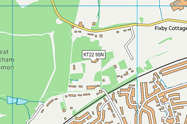KT22 9SN map - OS VectorMap District (Ordnance Survey)