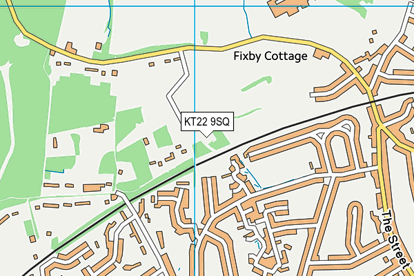 KT22 9SQ map - OS VectorMap District (Ordnance Survey)