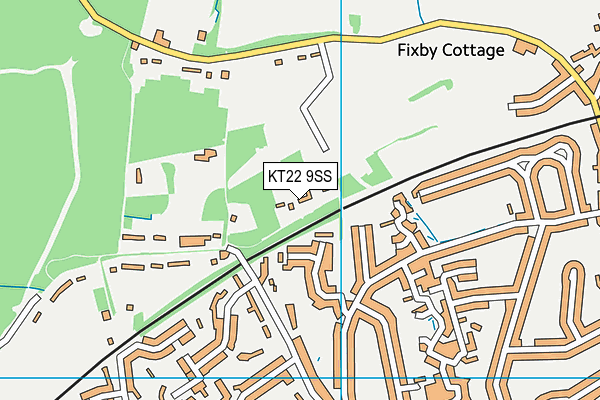 KT22 9SS map - OS VectorMap District (Ordnance Survey)