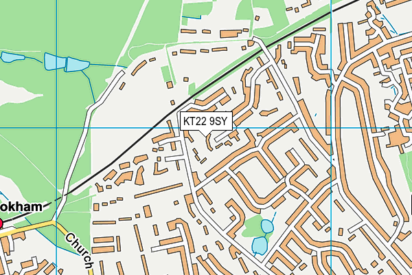 KT22 9SY map - OS VectorMap District (Ordnance Survey)