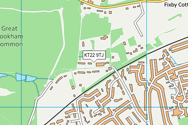 KT22 9TJ map - OS VectorMap District (Ordnance Survey)