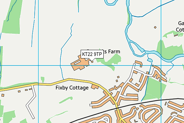 KT22 9TP map - OS VectorMap District (Ordnance Survey)