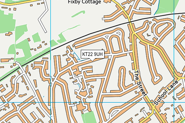 KT22 9UH map - OS VectorMap District (Ordnance Survey)