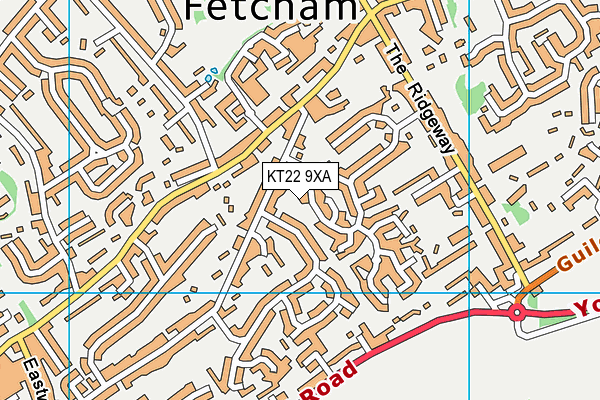 KT22 9XA map - OS VectorMap District (Ordnance Survey)