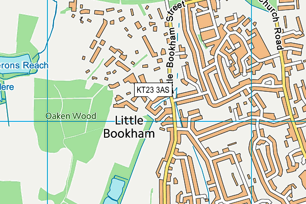 KT23 3AS map - OS VectorMap District (Ordnance Survey)