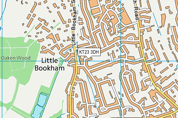 KT23 3DH map - OS VectorMap District (Ordnance Survey)