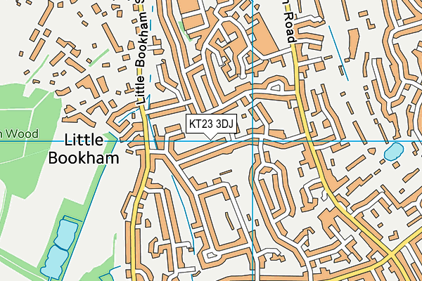 KT23 3DJ map - OS VectorMap District (Ordnance Survey)