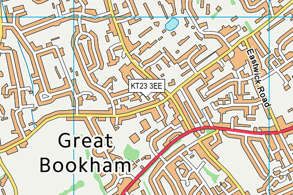 KT23 3EE map - OS VectorMap District (Ordnance Survey)