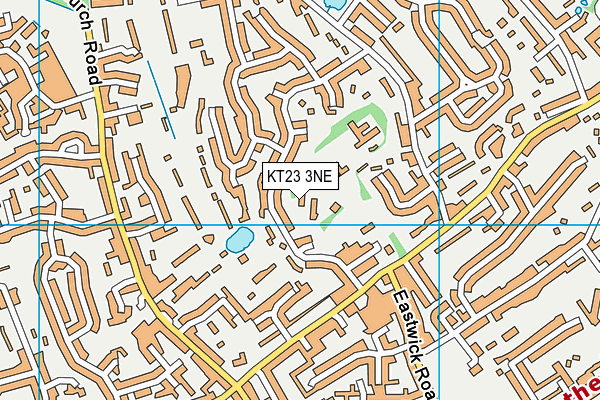 KT23 3NE map - OS VectorMap District (Ordnance Survey)