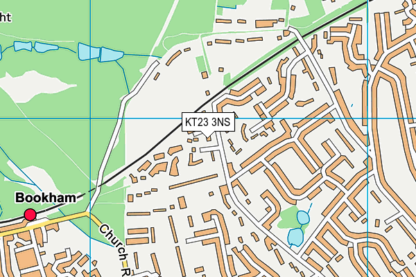 KT23 3NS map - OS VectorMap District (Ordnance Survey)