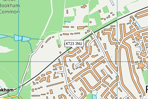 KT23 3NU map - OS VectorMap District (Ordnance Survey)