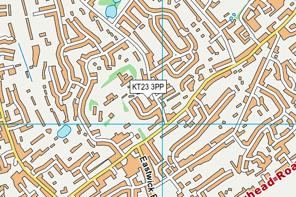 Eastwick Junior School map (KT23 3PP) - OS VectorMap District (Ordnance Survey)