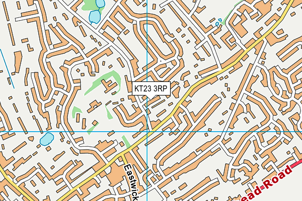 KT23 3RP map - OS VectorMap District (Ordnance Survey)