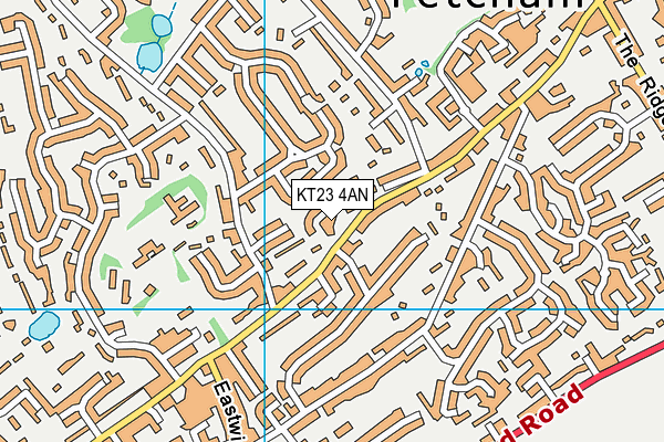 KT23 4AN map - OS VectorMap District (Ordnance Survey)