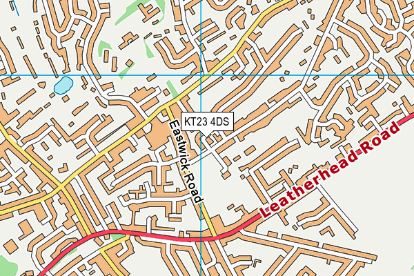 KT23 4DS map - OS VectorMap District (Ordnance Survey)