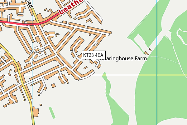 KT23 4EA map - OS VectorMap District (Ordnance Survey)