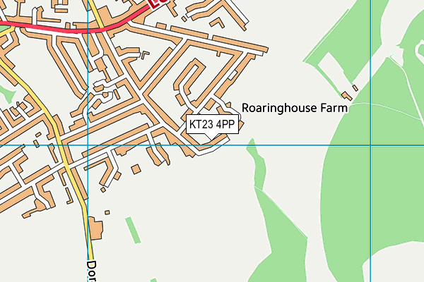 KT23 4PP map - OS VectorMap District (Ordnance Survey)