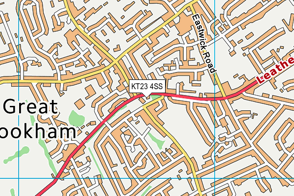 KT23 4SS map - OS VectorMap District (Ordnance Survey)