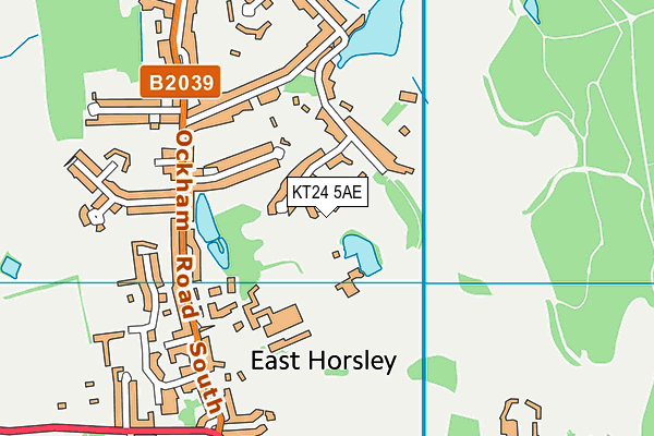 KT24 5AE map - OS VectorMap District (Ordnance Survey)